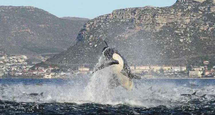 Admiralty Bed & Breakfast Muizenberg Afrique du Sud